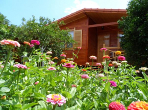 Гостиница Ugur Pansiyon Bungalows  Кемер